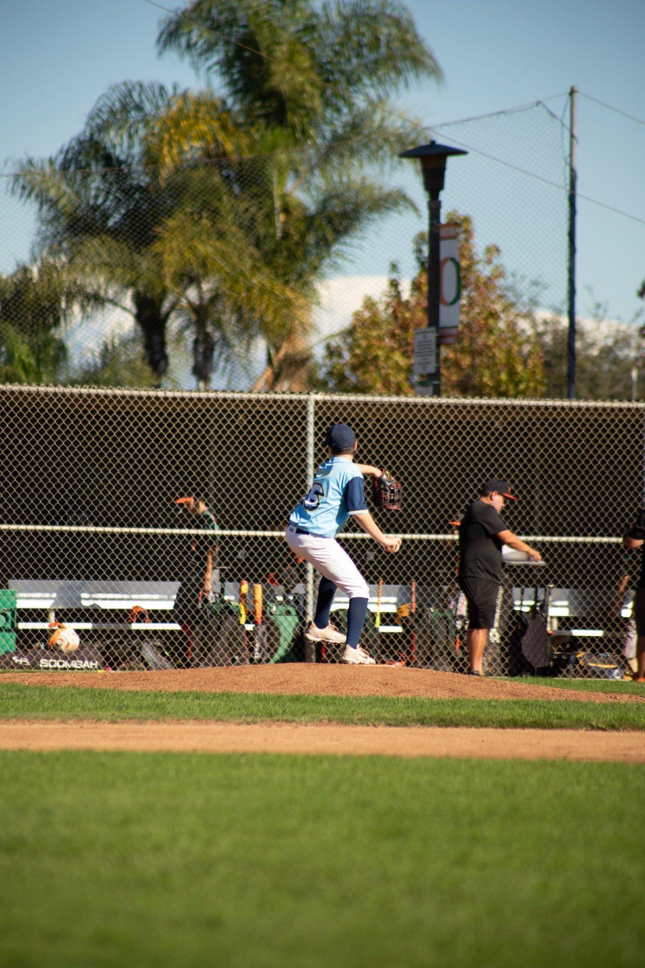 Bots Baseball game action