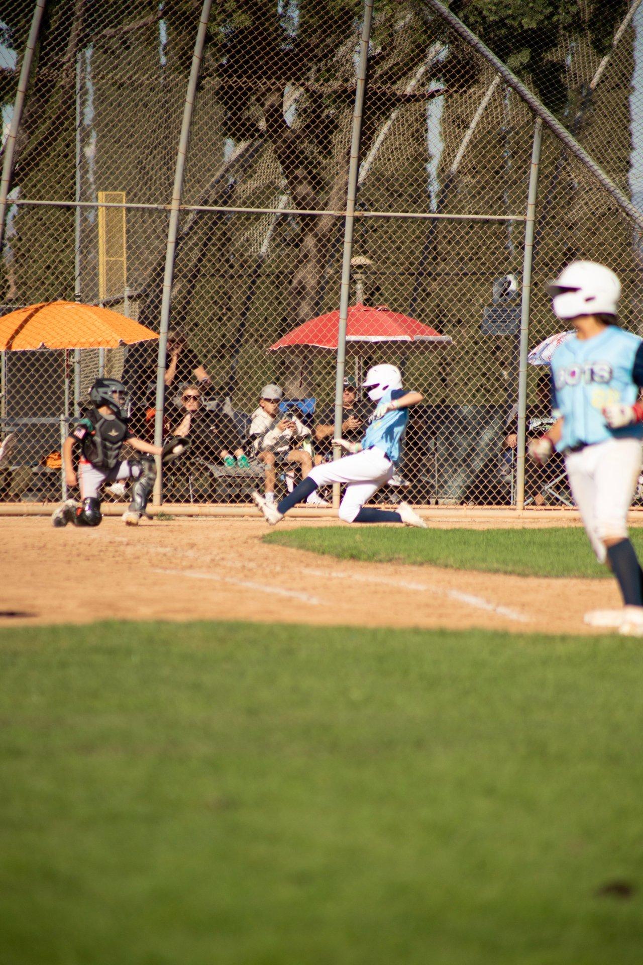 Bots Baseball game action