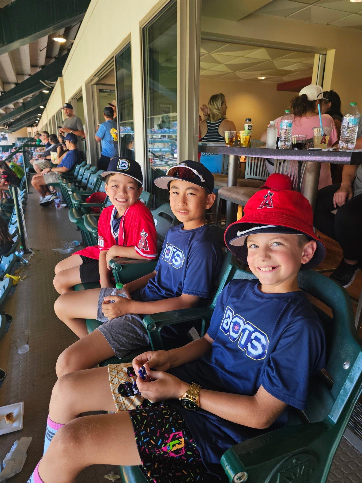 Bots Baseball game action