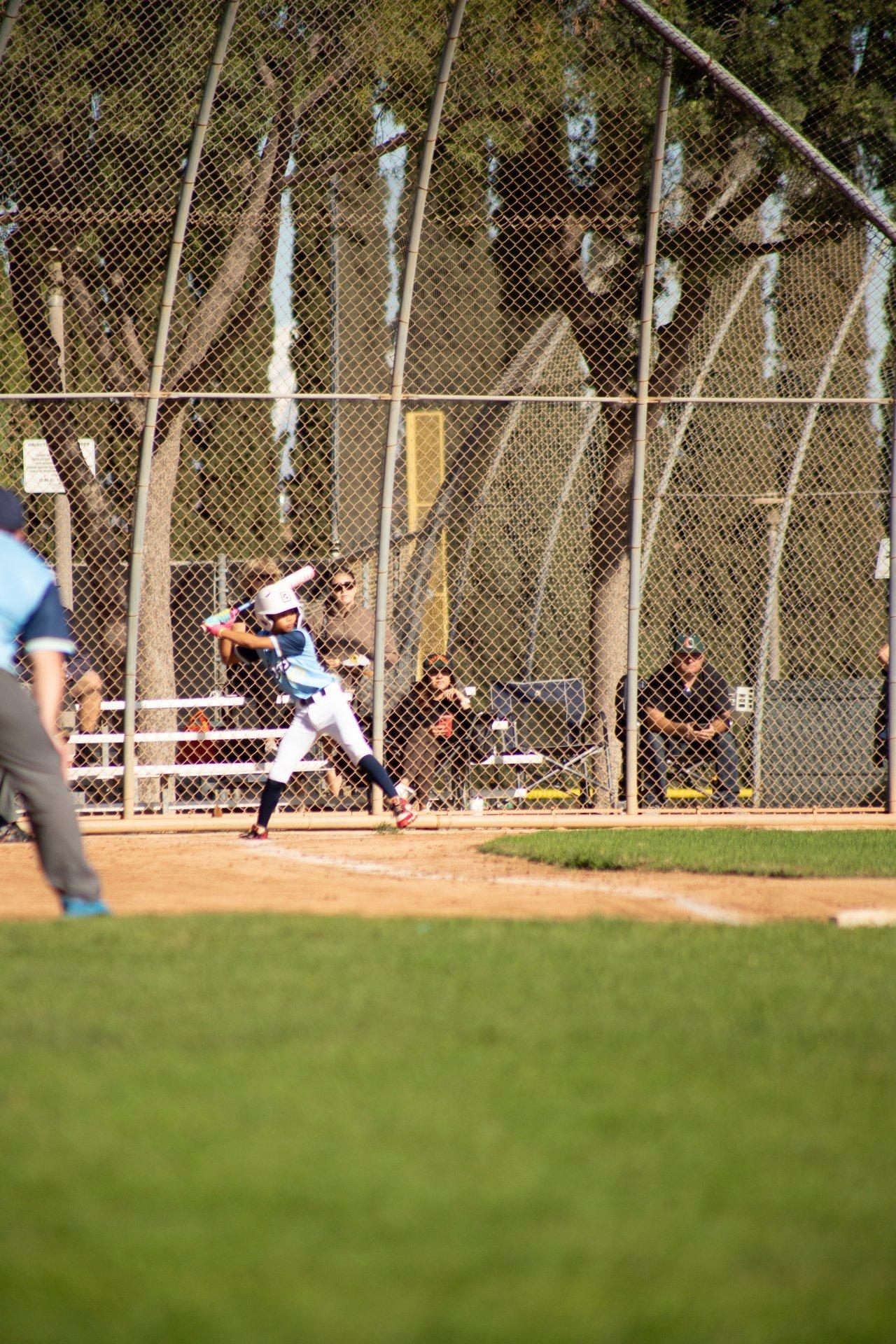 Bots Baseball game action
